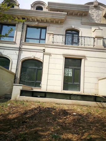 天茂湖凡尔赛庄园石材别墅三层双车位产权过二随时看