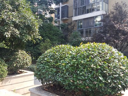 水晶小学怎么样 420x315c.jpg?t=1