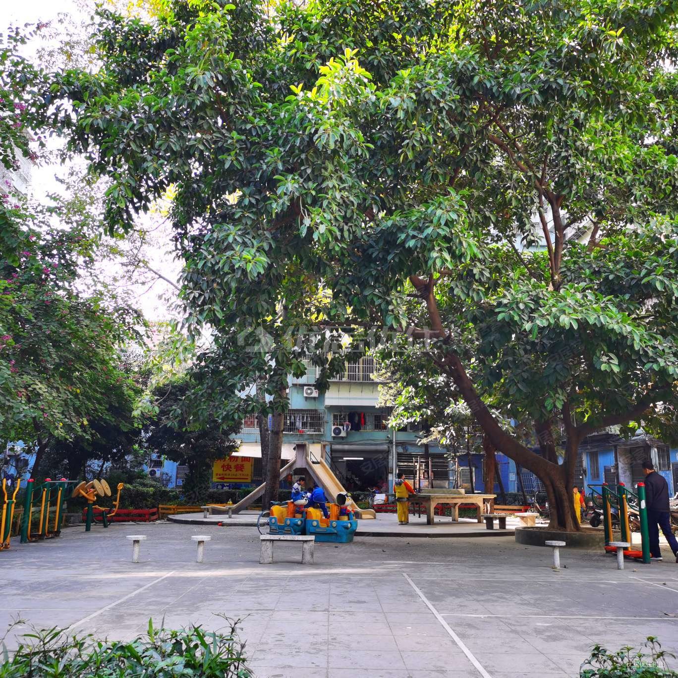 黄岐明珠广场3室2厅1卫76.5㎡北120万