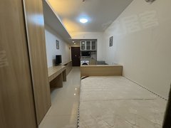 东莞莞城莞城中心万科中心 1室1厅1卫  电梯房 精装修31平米出租房源真实图片