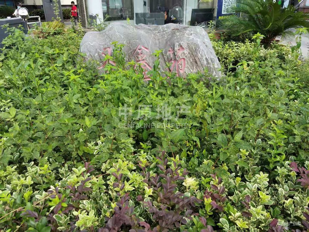 主卧朝南,电梯房,小区中心位置,采光充足,客厅朝南,圣鑫苑(4058弄)