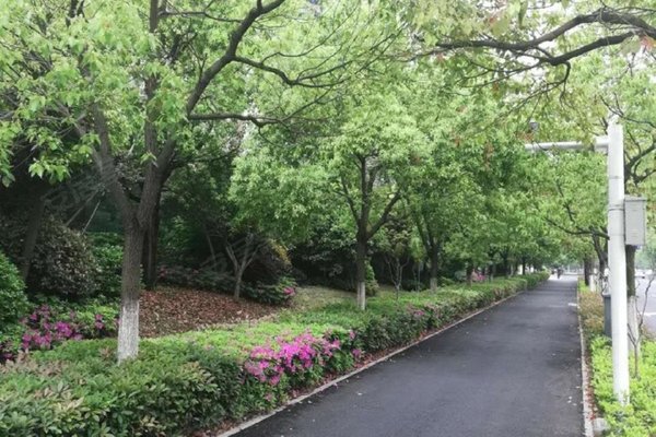 祥生绿都京杭府(公寓住宅)