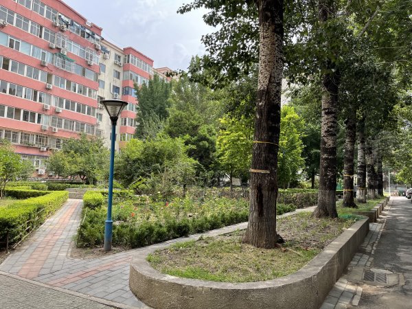 北京积水潭医院、大兴区号贩子电话,去北京看病指南必知的简单介绍 北京积水潭医院、大兴区号贩子电话,去北京看病指南必知的简单介绍