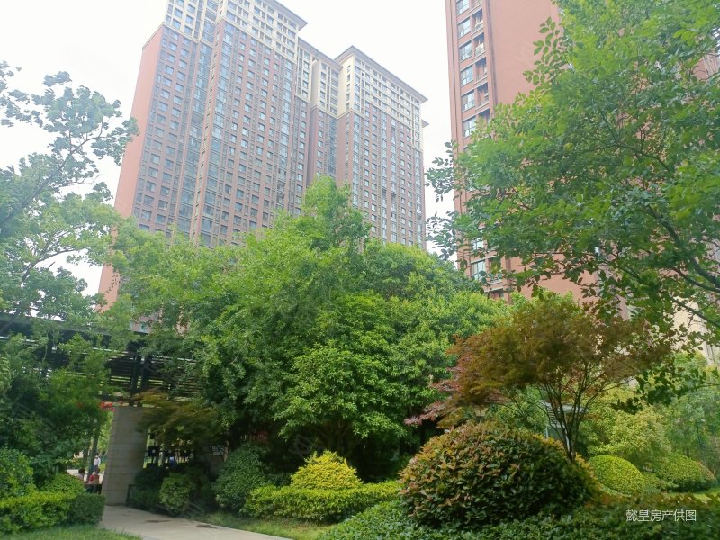 急售品质小区绿都悦府三室满二南北通透上开元随时看