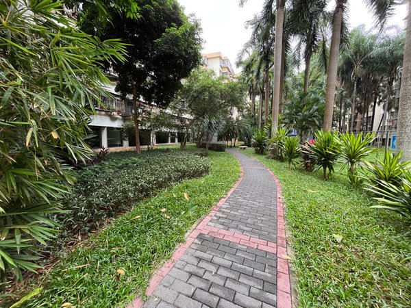 【多图】莲花一村,莲花村租房,莲花一村 深业上城对面 一房一厅出租