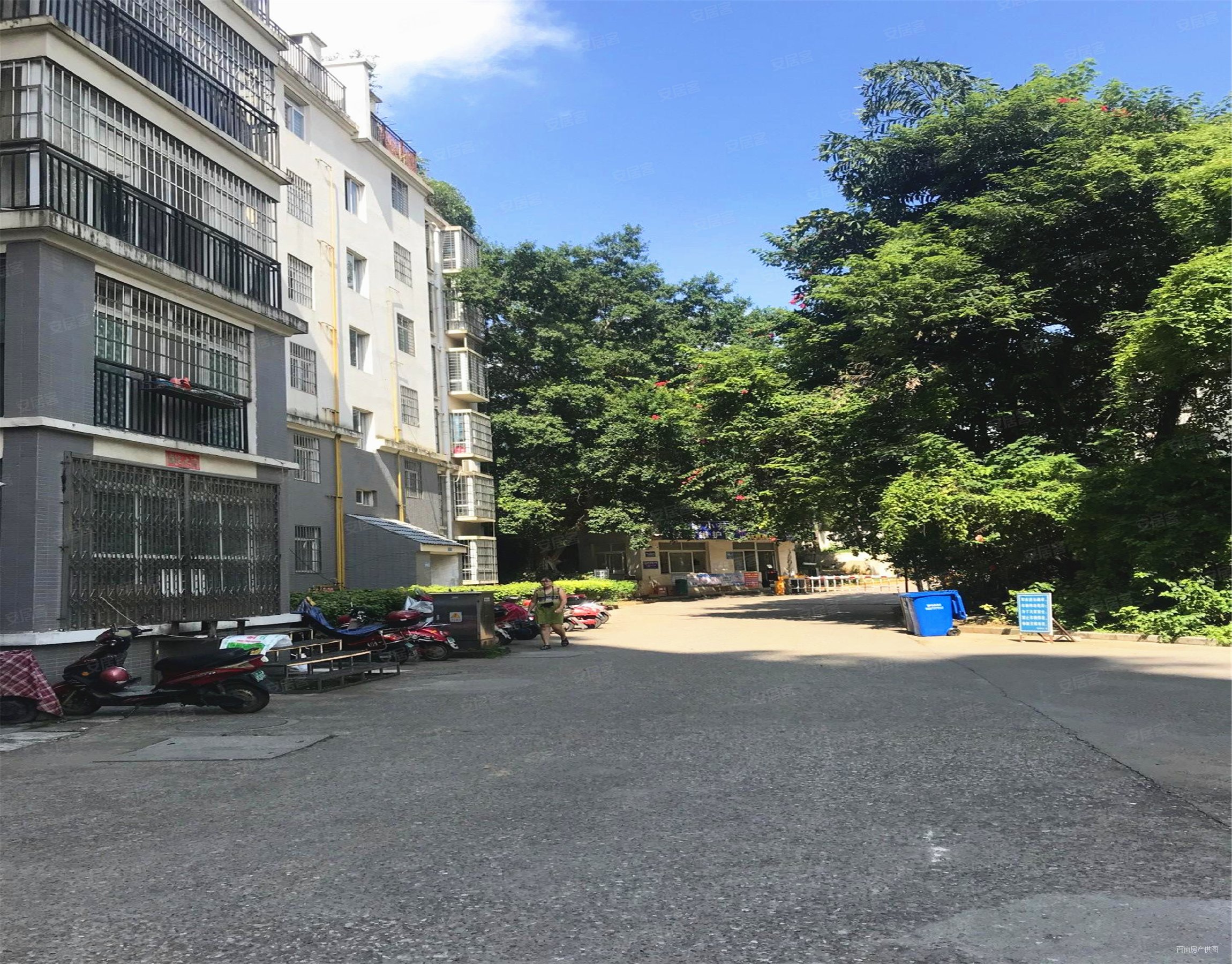 单价5字头得柳北电梯精装3房北雀路凯凌小苑看房方便