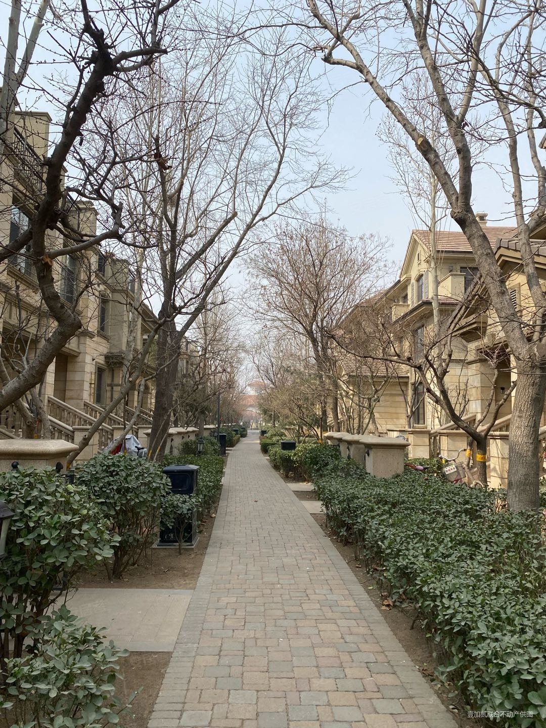 原河名墅4室3厅5卫502