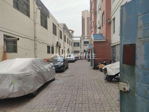 青岛莱西水集银泰名都花园整租 87平 名都花园 面议 3室 精装 采光