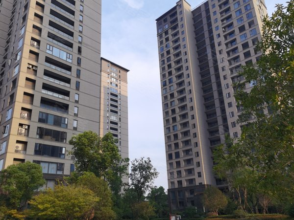 绍兴柯桥柯桥金地湖城大境86方2600元!