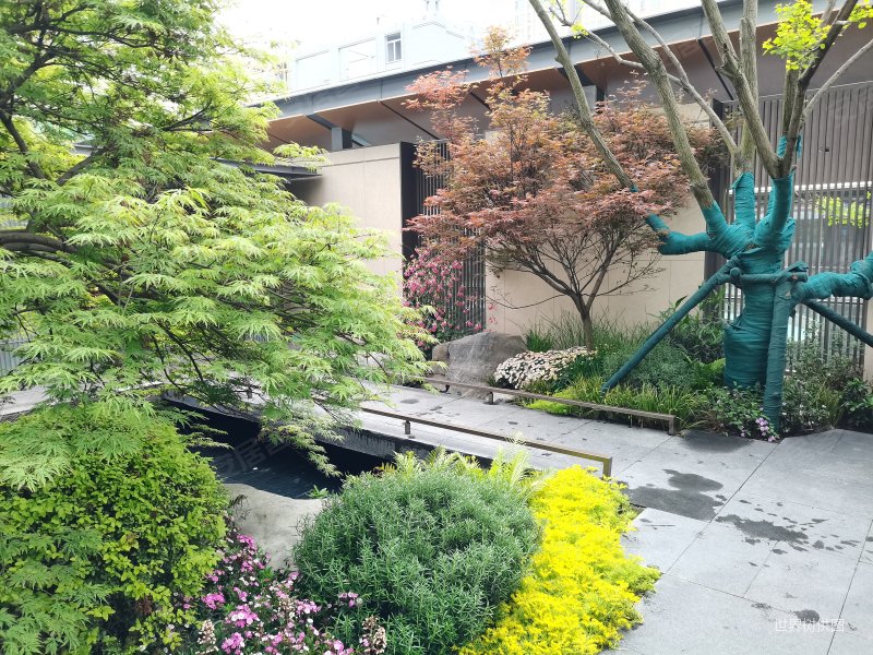 浣花溪山庄5室4厅5卫276㎡南北850万