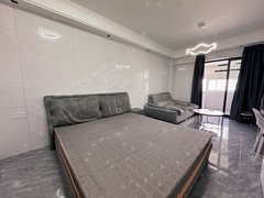 泉州丰泽津淮街免费用 万达附近 晶都国际 精装修轻奢风 押一付一领包入住出租房源真实图片