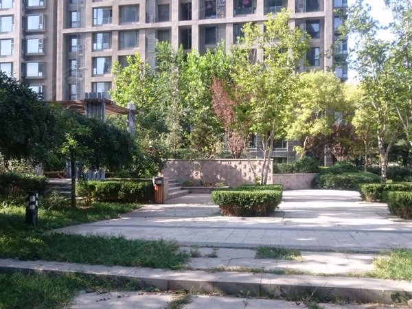 廊坊燕郊燕顺路东贸国际花园押一付一 精装好房出租 1000双包 东贸