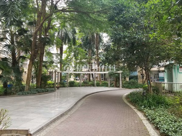 【多图】恒大新城,安吉租房,恒大新城 两房出租 楼层好,西乡塘租房