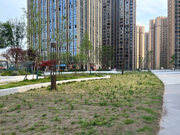 重庆渝北空港桥达茂宸广场(商住楼)1700月租茂宸广场精装修两房,随时