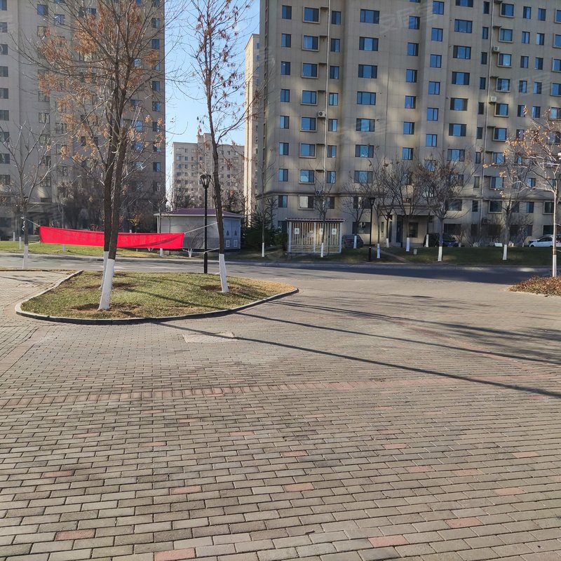 胜利花苑银杏园
