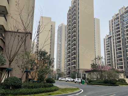 碧桂园新城华府