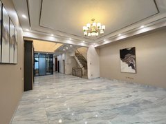 昆明官渡新螺蛳湾600平精装别墅 带电梯 适合接待办工 可停20张车出租房源真实图片