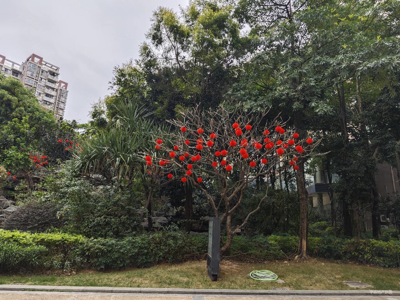 太和花园富恒浅水湾