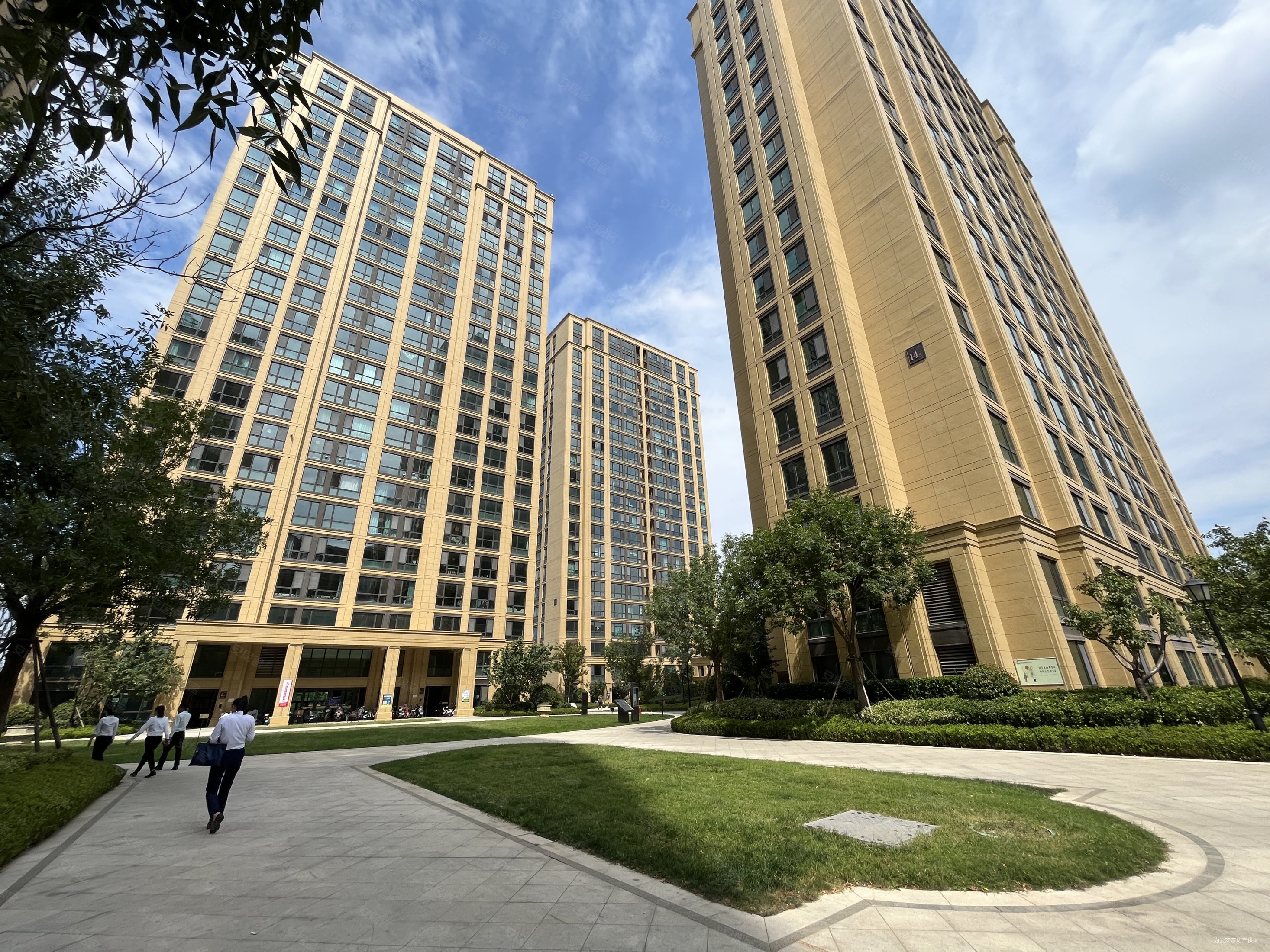 绿城紫薇广场朗月苑二手房,147万,3室2厅,1卫,100平米-青岛安居客