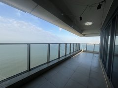 海口秀英秀英大道急 急一线海景浴缸 可住可公 海口湾国贸世贸万绿园 保利四期出租房源真实图片