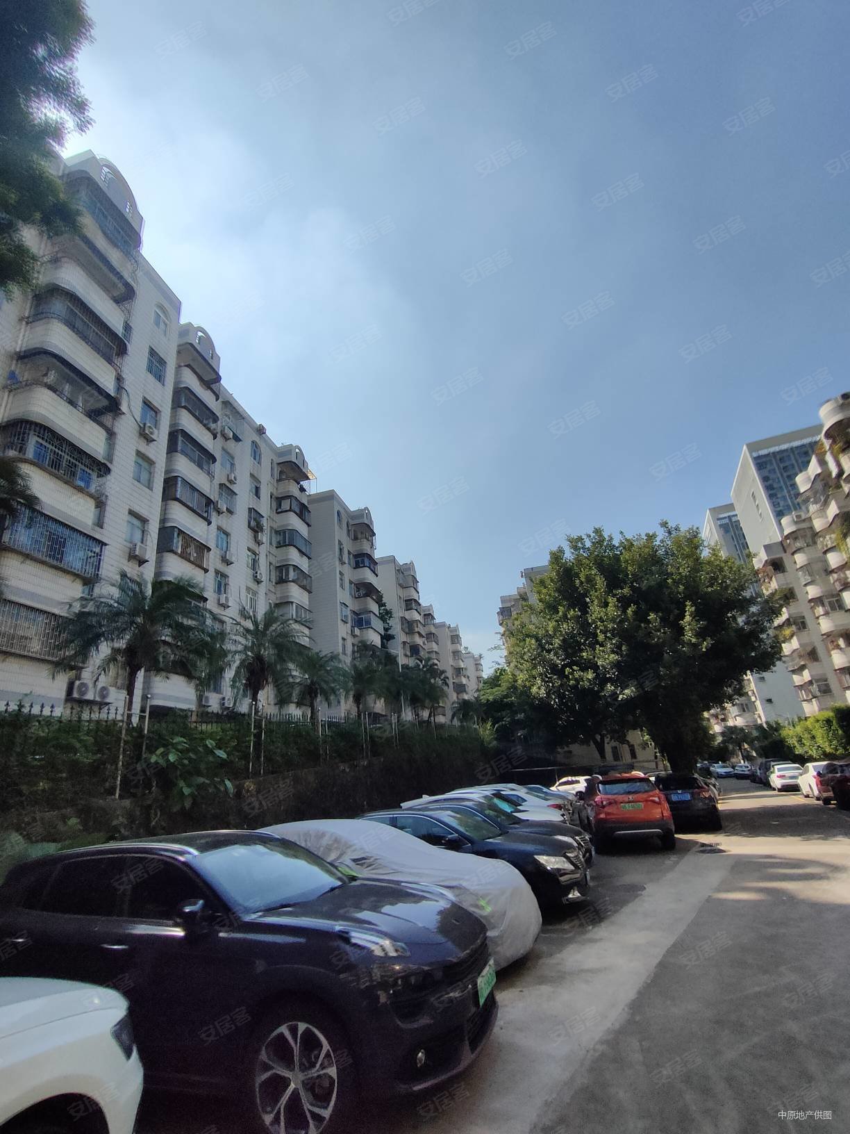 深圳房产网>深圳二手房>布吉二手房>布吉街二手房>德兴花园(南区)>