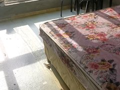 莱阳莱阳城区市中心金辉嘉园 2室1厅1卫出租房源真实图片