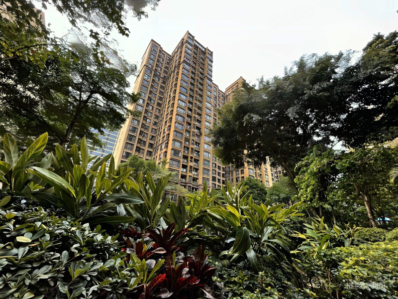 5栋搂王大3房!高层看花园泳池!带租出售!金域华府一期