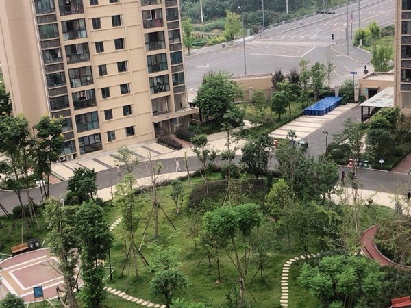 成都天府新区西博城保水逸苑a区天府新区兴隆湖地铁口天府中学海康