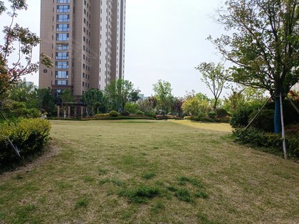 金色兰庭香堤,任城大道 - 济宁金色兰庭香堤二手房,租房,房价-济宁