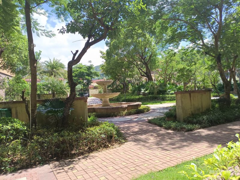 仲恺公园旁成熟花园小区毛坯四房两厅两卫两阳台南北通透光线充足,半