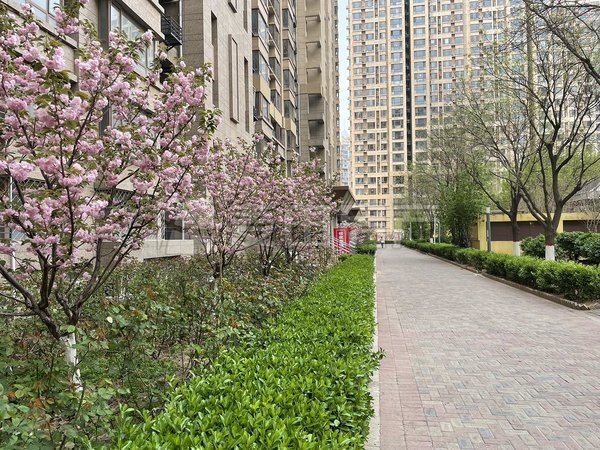 【多图】林奥嘉园,北苑租房,9成新 精装修南北通透 3室2卫 林奥嘉园