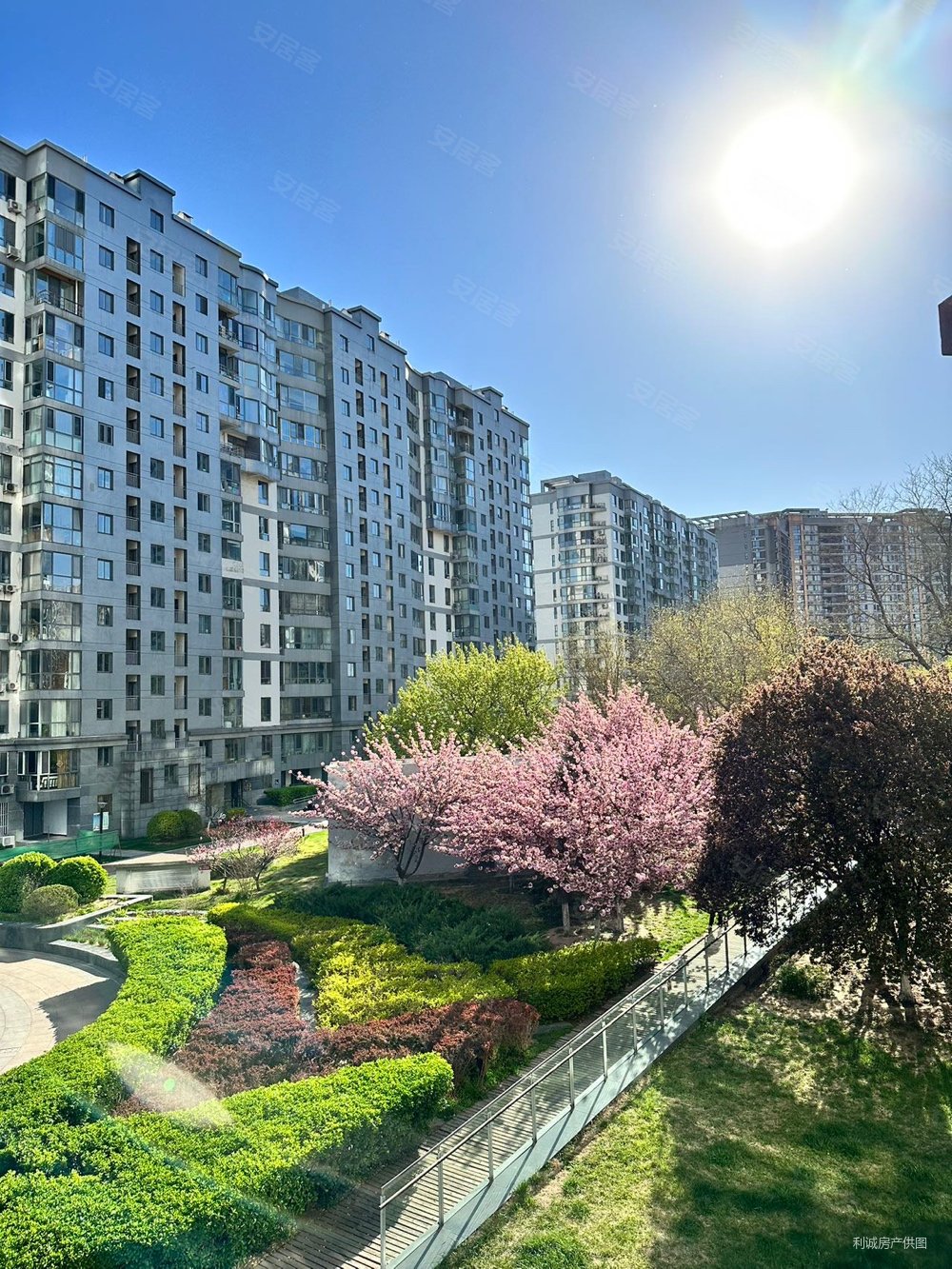 水星园3室2厅2卫125.18㎡南北1300万