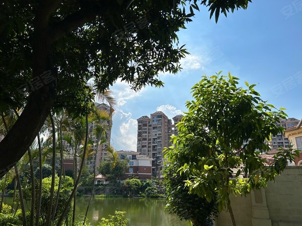 深圳龙岗横岗振业城(北区)急租 14号线地铁口 大复式 看整个别墅景观