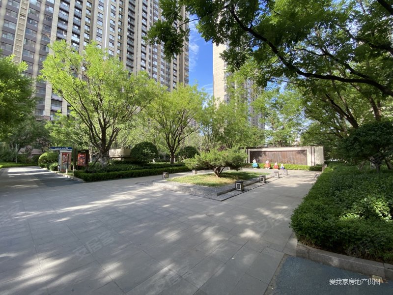 鲁能泰山7号 满2年 价格可大谈