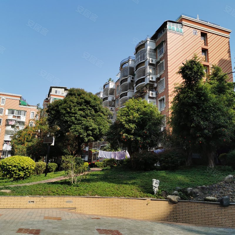 【金枫园, 金枫园小区专家解读页】- 厦门58同城