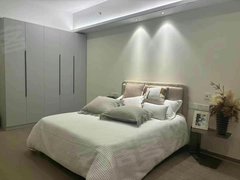 如皋如皋市区中山西路靠吾悦广场 市政府大润发 朗诗单身公寓带电梯四季恒温轻奢装修出租房源真实图片