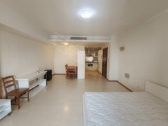 北京东城崇文门国瑞公寓精装一居家电齐全!!看房方便随时入住!看好速联!出租房源真实图片