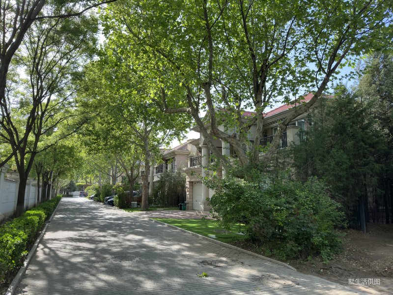 300平,看房方便,大湖山庄二手房,3500万,5室2厅,4卫,475平米-北京