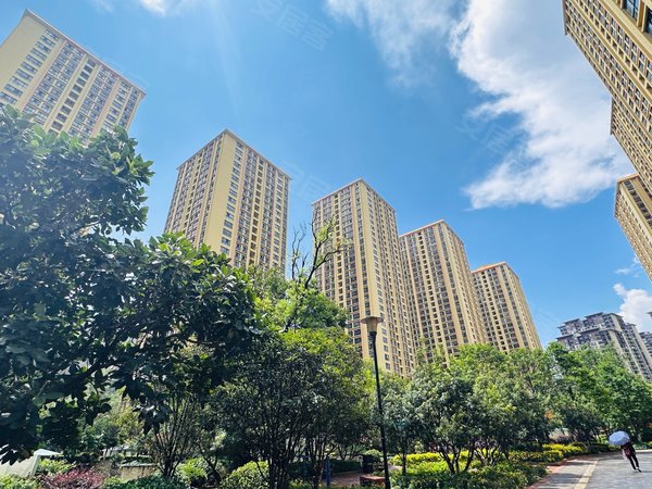 昆明官渡金马寺片区银杏廊亭交通好地段 特价直租 近