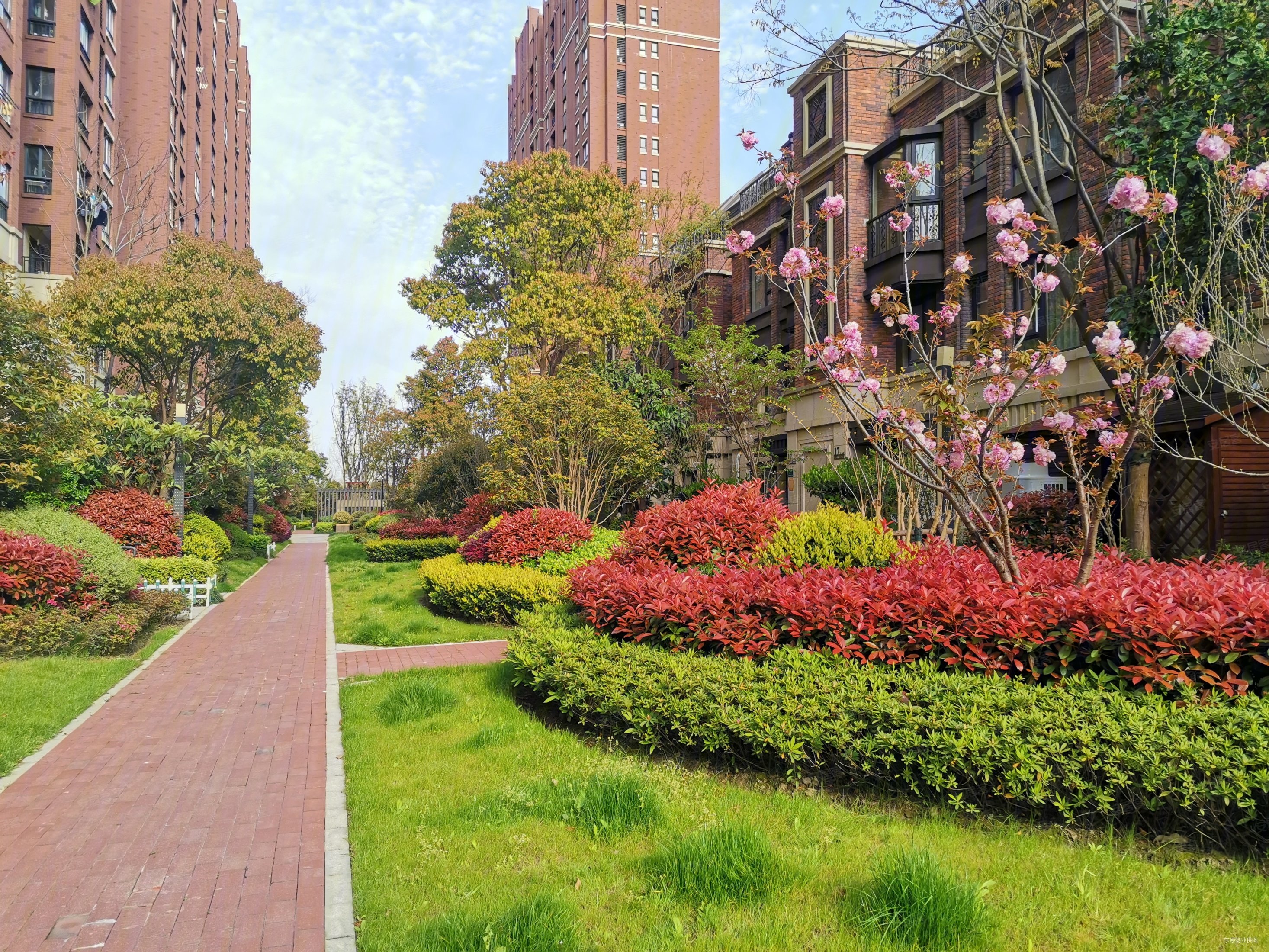 奉贤新城 东原郦湾 3室精装 满五 诚意出售 看房有钥匙!