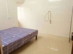 百色右江恒基广场东合村东旦下屯四组自建房 1室0厅1卫出租房源真实图片