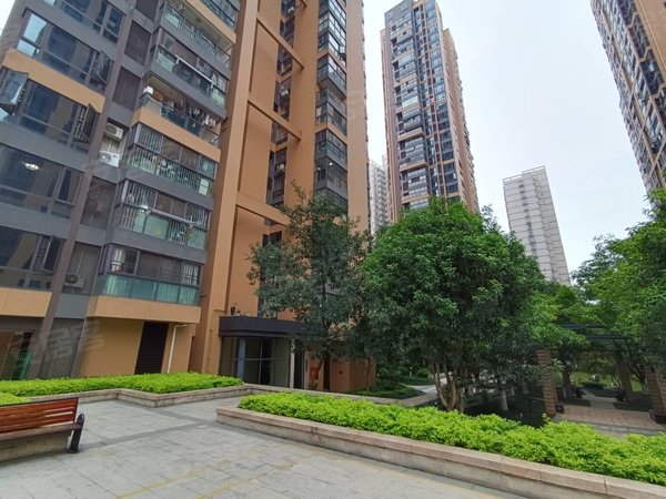 【多图】联发臻品,东葛路租房,民族广场后面 高档小区 联发臻品 精