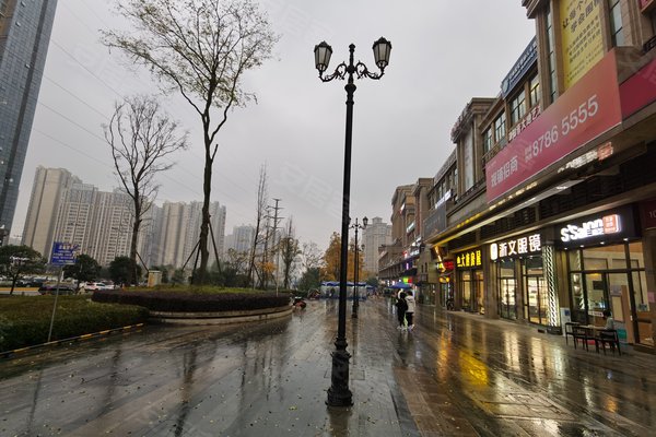 龙城1号,龙城大道1号 - 成都龙城1号二手房,租房,房价-成都安居客