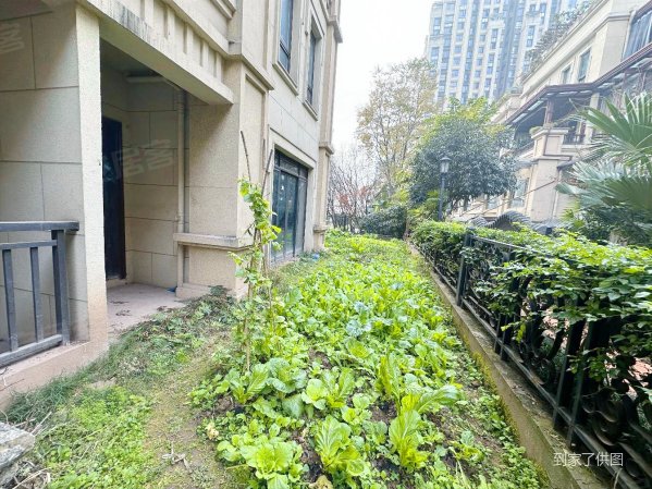 鲁能城一期别墅 业主急售 上中八 人和街,鲁能城中央公馆(1期a区)二手