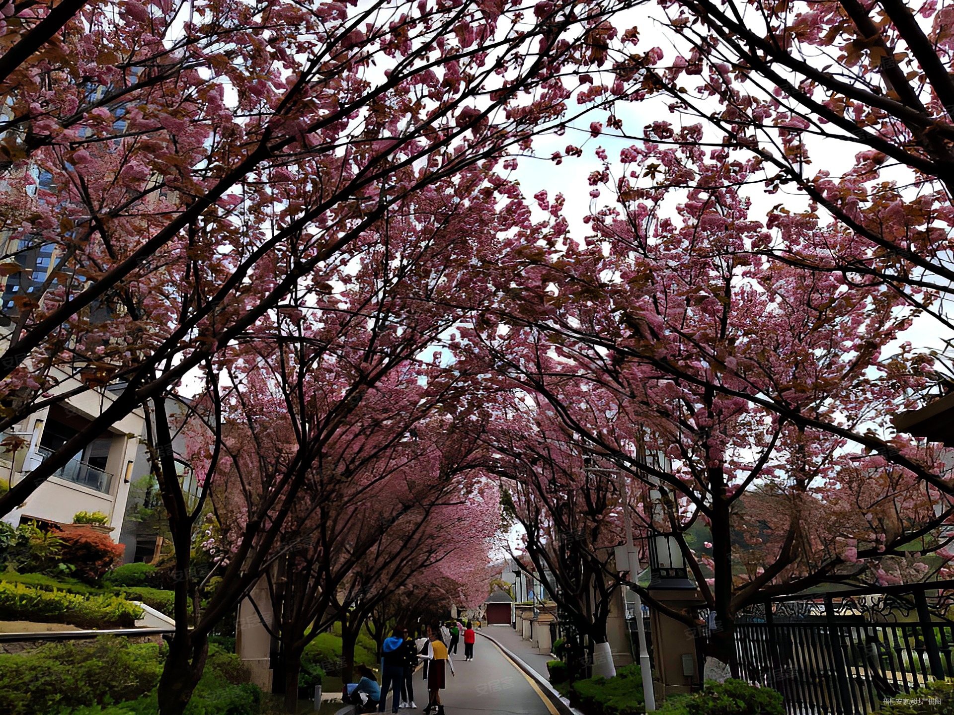 低售地铁房单价6字头保利凤凰湾澜湾2室1厅双阳台