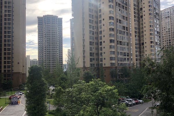 宜宾二手房 塞纳国际 > 罗方剑解读塞纳国际其他描述