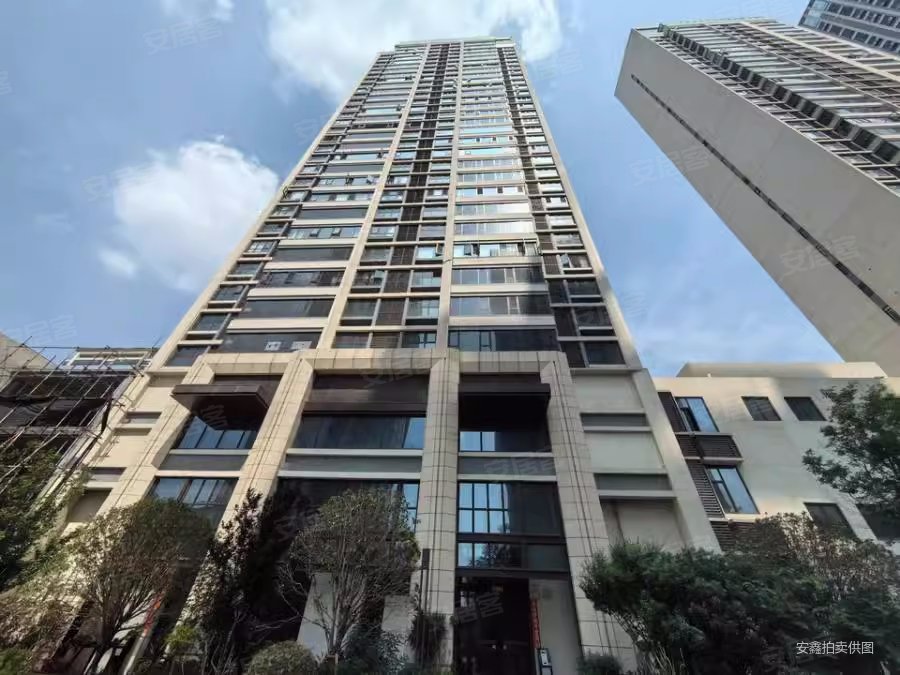 云师大 巫家坝地铁口 一梯一户大平层 法拍可贷款,保利天际花园二手房