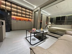 金华东阳东阳江北东站 振兴路 全屋智能 单间 一室一厅 两室一厅 拎包入住出租房源真实图片