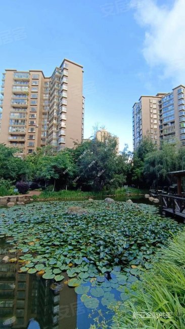 急售 地铁口 丽水雅苑 精装3室 端户朝小区 拎包入住可看房