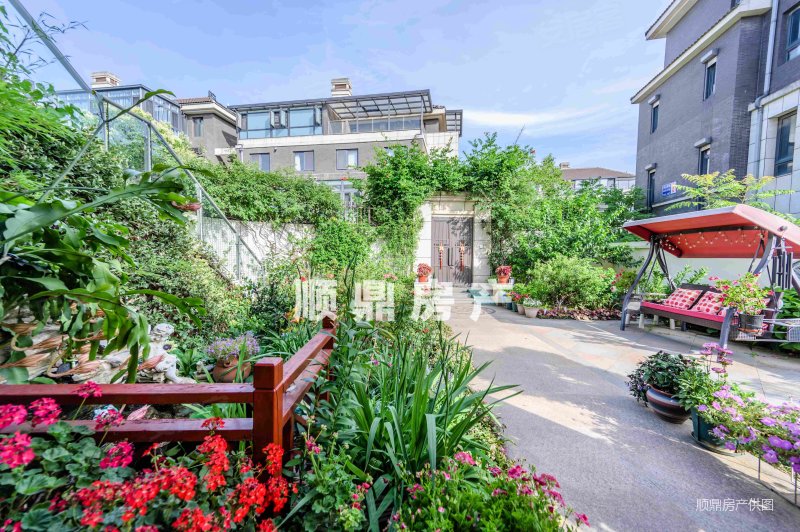 南大和园(别墅)5室3厅4卫375㎡南北2519万